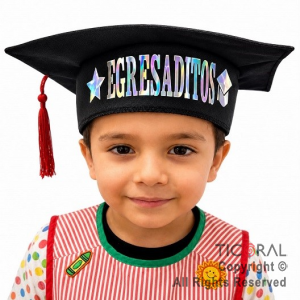 SOMBRERO EGRESADITOS METALIZADO CON PLATA TORNASOL x 5 UNIDADES
